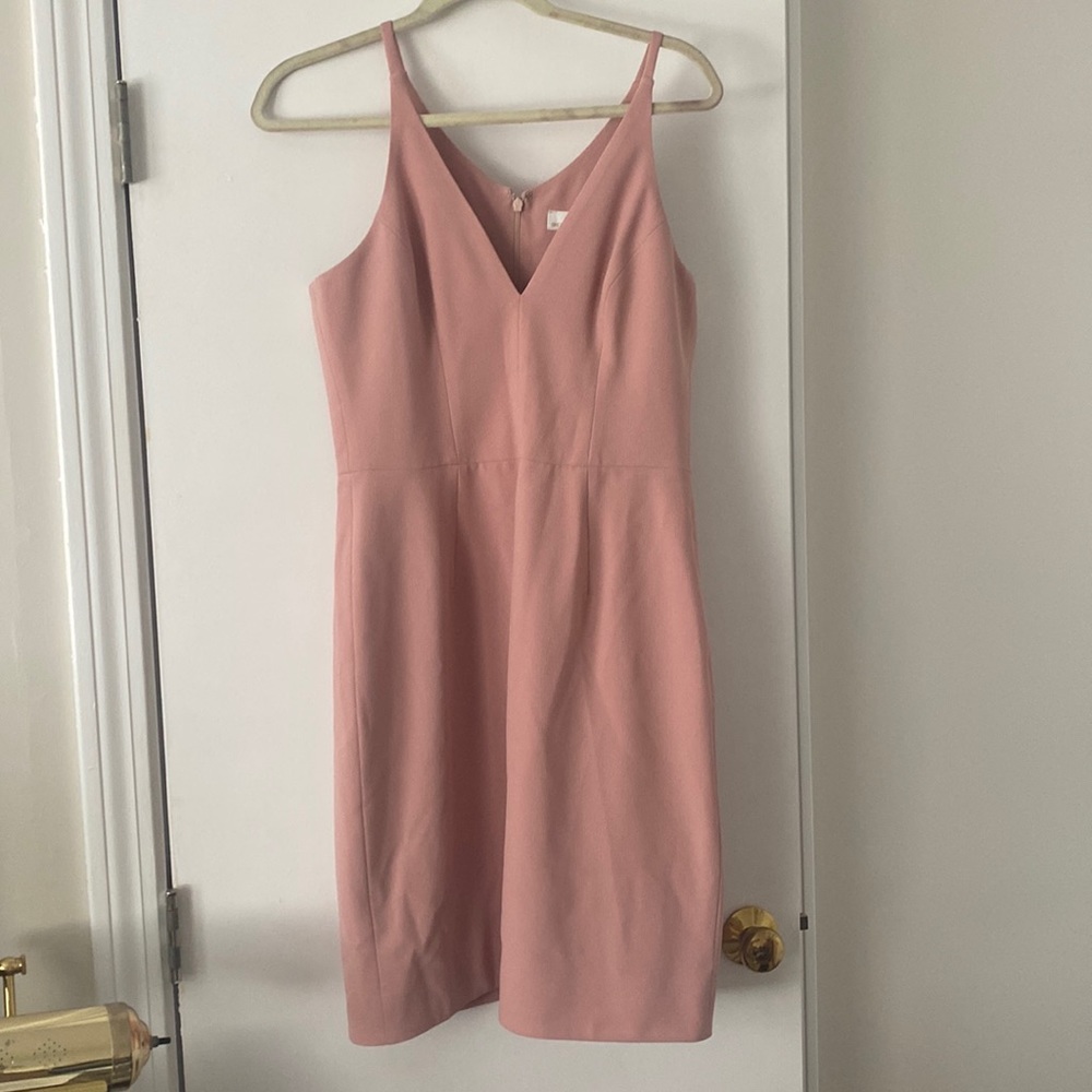 Dress the Population Deep V Blush Lyla Crepe Dress